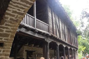 Dryanovo Monastery 3