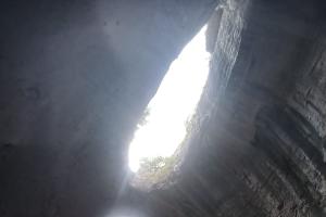 Another view of the eyes