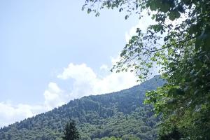 Rila Monastery 45